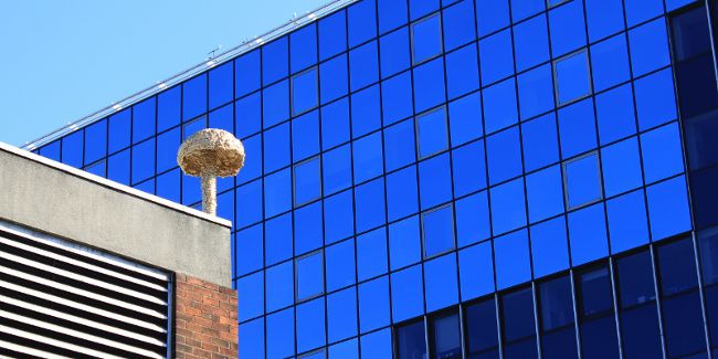 Street-Art-London-Christiaan Nagel Street Art London tours Christiaan Nagel